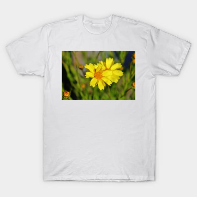 Crown Daisies T-Shirt by Cynthia48